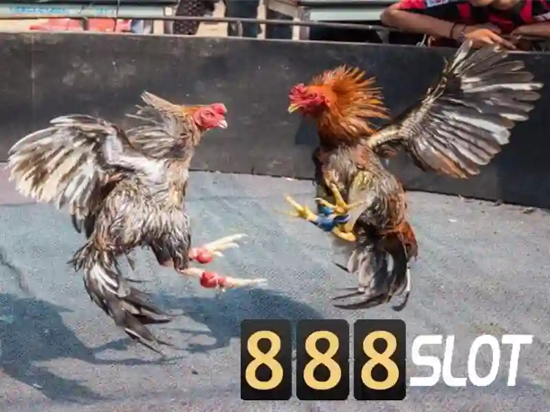 'Sản phẩm và dịch vụ cốt lõi tại 888slot freebet login'