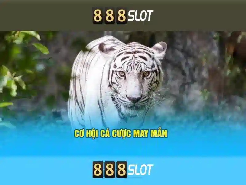 slot togel 888 – Khám phá giá trị và cơ hội