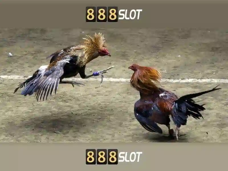 888slot: Đánh giá tổng quan về nền tảng chơi slot trực tuyến