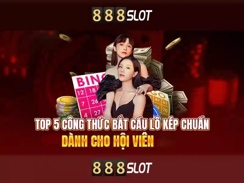 Trải nghiệm người dùng và phản hồi cộng đồng