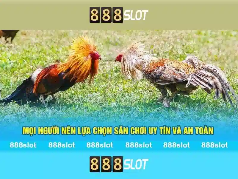 An toàn và thanh toán