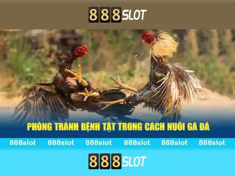 Khuyến mãi và chương trình thưởng