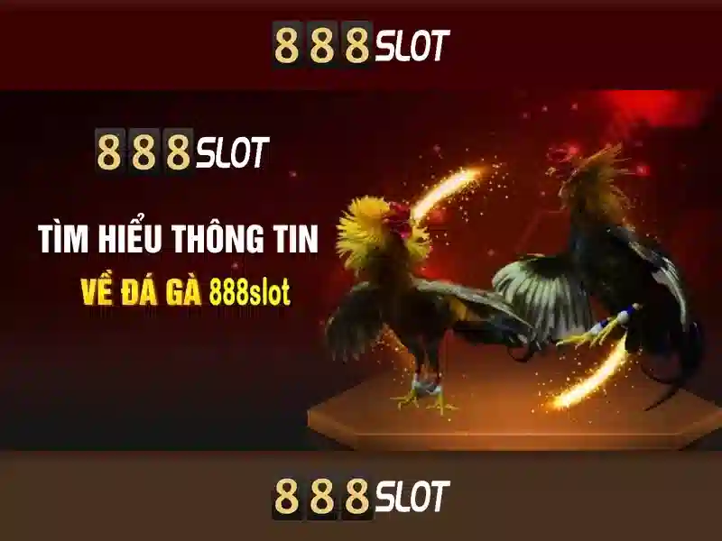 Trai nghiem nguoi dung cua slot 888
