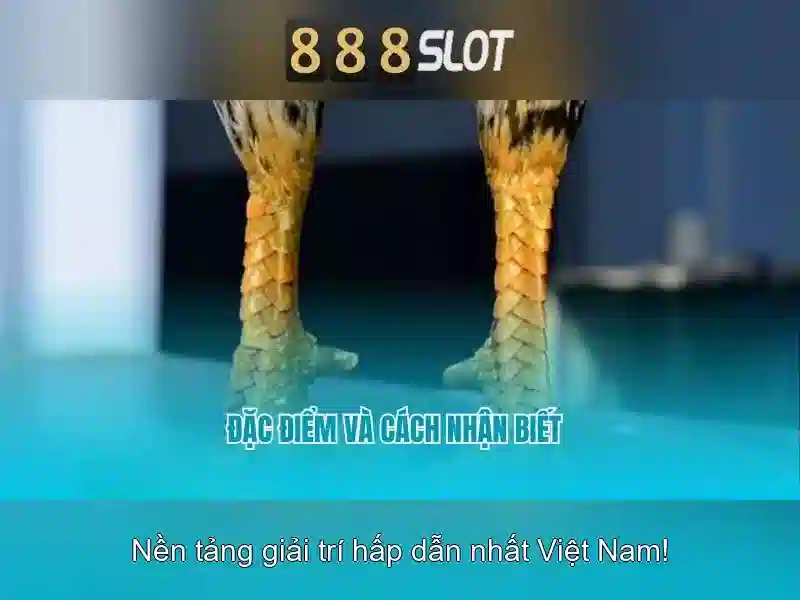 Khuyến mãi và chương trình thưởng<h>Hỗ trợ khách hàng và dịch vụ</h><p><span style=