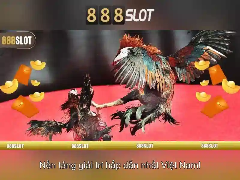 Khuyến mãi và chương trình khuyến khích<h2><b>An toàn, bảo mật và thanh toán</b></h2><p><span style=