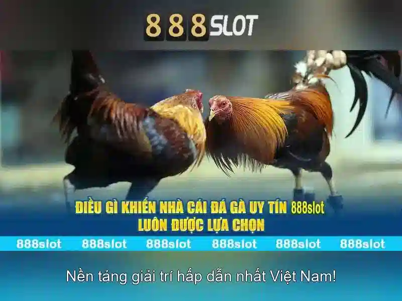 Kết luận