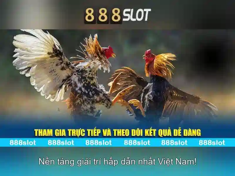 <!--IMG_PLACEHOLDER alt>An toàn và thanh toán-->
