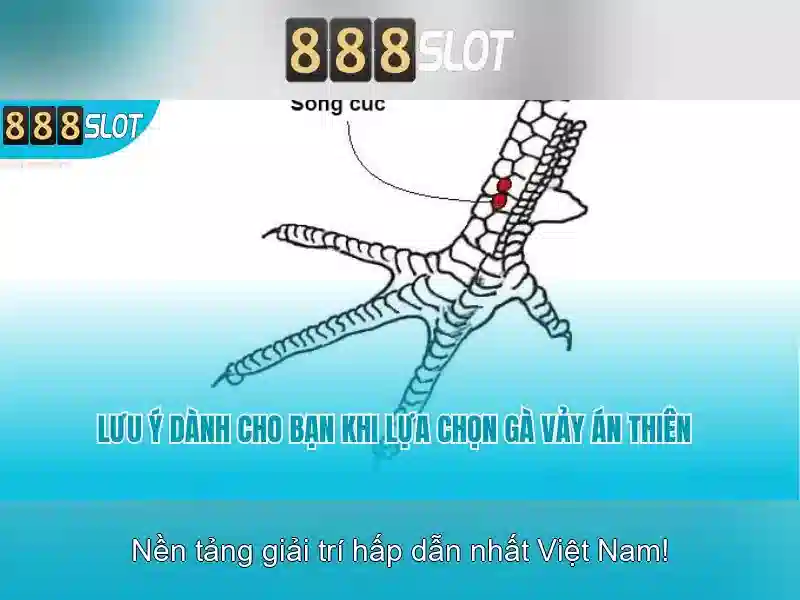 Giới thiệu về 888slot