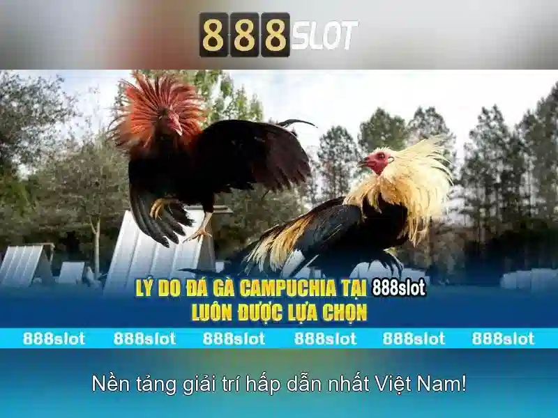 Chuan bi tai khoan va an toan